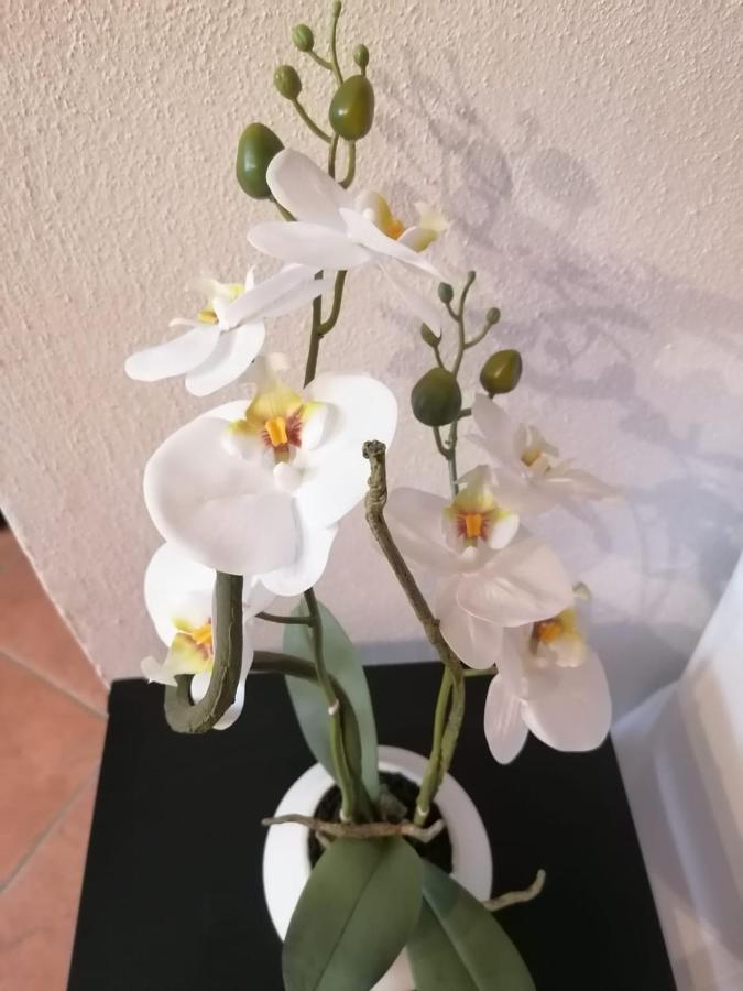 Apartmán Perla Del Golfo Lerici Exteriér fotografie